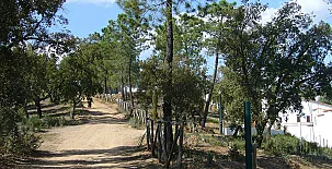 Las Posadas de Valdelarco 0019