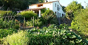 Mas Vinyoles I y II 002