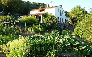 Mas Vinyoles I y II en Quart (Girona) - Foto 2