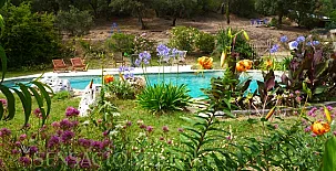 Mas Vinyoles I y II 003