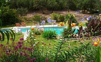 Mas Vinyoles I y II en Quart (Girona) - Foto 3