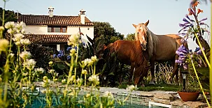 Mas Vinyoles I y II 004