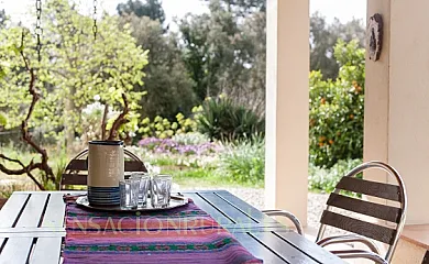 Mas Vinyoles I y II en Quart (Girona) - Foto 15