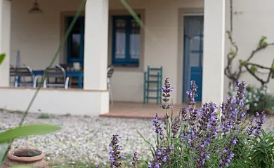 Mas Vinyoles I y II en Quart (Girona) - Foto 16