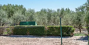 Finca Escalicha 0059