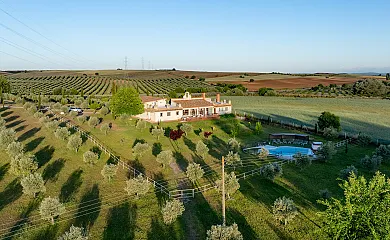 La Simona en Los Cerralbos (Toledo) - Foto 16