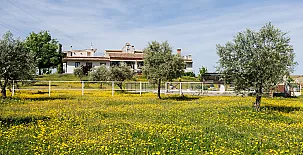 La Simona 0021