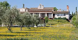La Simona 0023