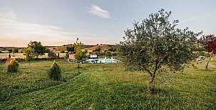 La Simona 0020