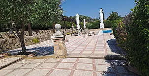 La Corza 0034