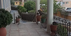 La Corza 0042