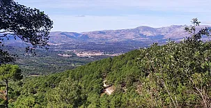 Finca Los Alemanes 0016