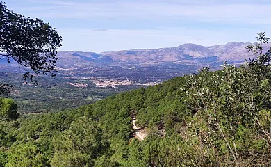 Finca Los Alemanes en Navaluenga (Ávila) - Foto 16