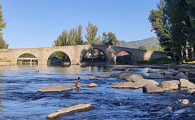 Finca Los Alemanes en Navaluenga (Ávila) - Foto 19