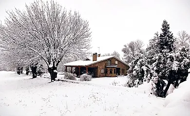 Finca Los Alemanes en Navaluenga (Ávila) - Foto 21
