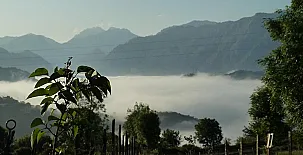 La Cortina 0041