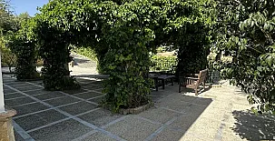 La Algazara 0018