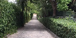La Algazara 0021