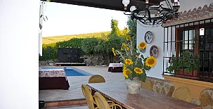 La Algazara 0027