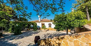 La Algazara 0029