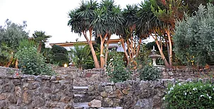 La Algazara 0031