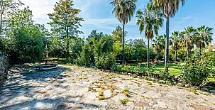 La Algazara 0032