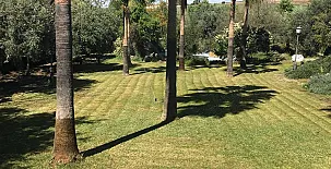 La Algazara 0033