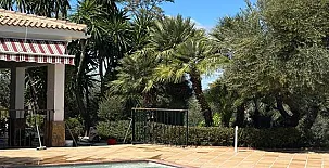 La Algazara 0034
