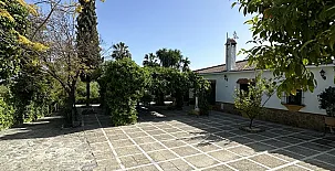 La Algazara 0036