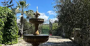 La Algazara 0037