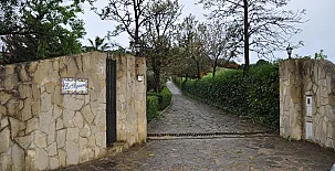 La Algazara 0038