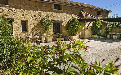Casas Faustino en Ciudad Rodrigo (Salamanca) - Foto 21