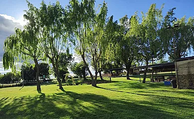 Casas Faustino en Ciudad Rodrigo (Salamanca) - Foto 6