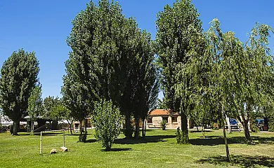 Casas Faustino en Ciudad Rodrigo (Salamanca) - Foto 23