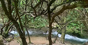 Finca El Encinar 0021