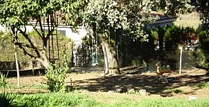 Casa Rural Ribera del Huéznar 0050
