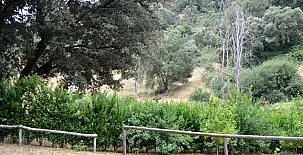 Casa Rural Ribera del Huéznar 0053