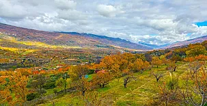 LA SEGUIRILLA 0039