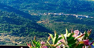 LA SEGUIRILLA 0045
