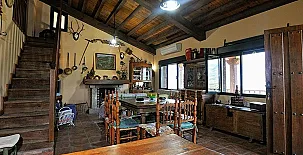 LA SEGUIRILLA 003