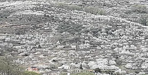 LA SEGUIRILLA 0054