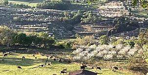 LA SEGUIRILLA 0060