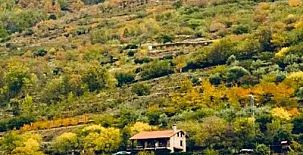 LA SEGUIRILLA 0066