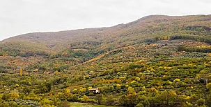 LA SEGUIRILLA 0069