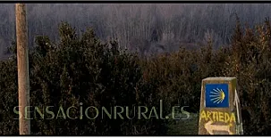 El Granero del Conde 0011