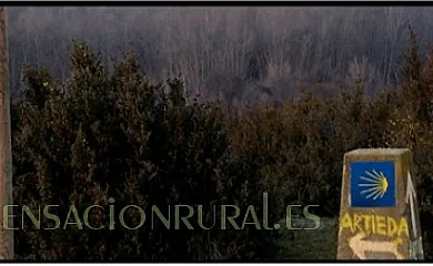 El Granero del Conde en Arrés (Huesca) - Foto 11