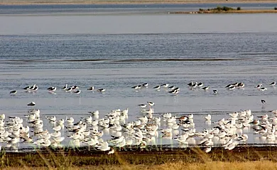 Casa Rural La Laguna en Gallocanta (Zaragoza) - Foto 14