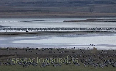 Casa Rural La Laguna en Gallocanta (Zaragoza) - Foto 15
