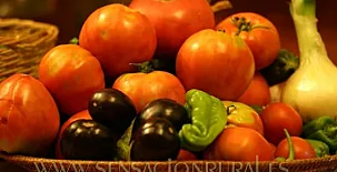 Antigua Casa Catones 004