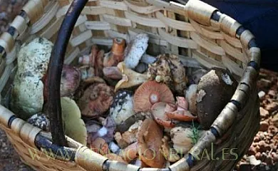 Antigua Casa Catones en Lascuarre (Huesca) - Foto 7